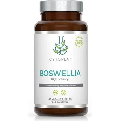 Cytoplan Boswellia kloubní výživa 400 mg 60 vegan kapslí