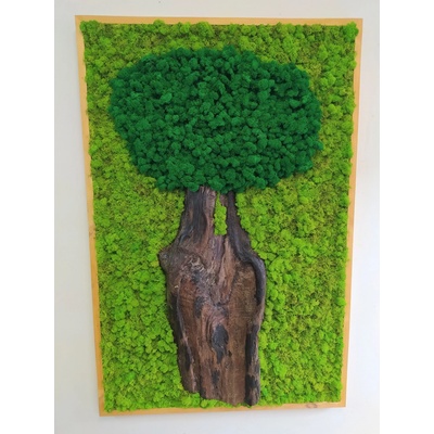 Machový obraz- strom 110cm x 55cm