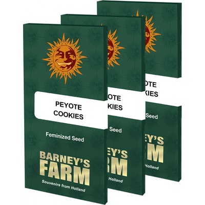 Barney's Farm Peyote Cookies semienka neobsahujú THC 1 ks