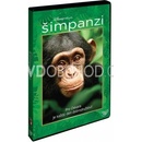 ŠIMPANZI DVD