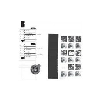 PIXIES: DOOLITTLE 25 LP