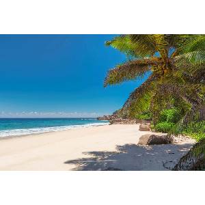 DIMEX ART Флизелинов фототапет тропически плаж 375 x 250 см