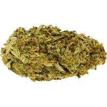 Zlaté CBD Odroda konope Amnesia Haze 25% CBD 0,2% THC 1 g