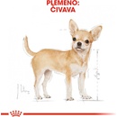 Krmivo pre psov Royal Canin Chihuahua Adult 3 kg