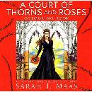 A Court of Thorns and Roses Colouring Book C... Sarah J. Maas