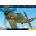 Flying Legends 2026