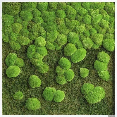 Machový obraz styleGREEN 80x80 cm