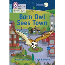 Barn Owl Sees Town Raby Charlotte