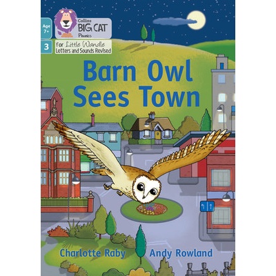 Barn Owl Sees Town Raby Charlotte