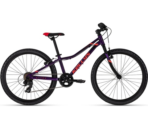 Kellys Kiter 30 2025