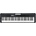Casio CT S300