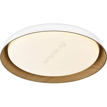 Top Light Top Light-LED Димируем плафон SATELLITE LED/48W/230V 3000-6500K бял + д. у (TP1823)