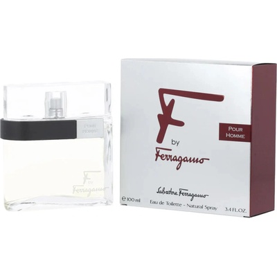 Ferragamo F by toaletná voda pánska 100 ml