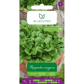 W. Legutko Агнешка салата Verte de Cambrai