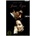 Jane Eyre 1983, 2 DVDs