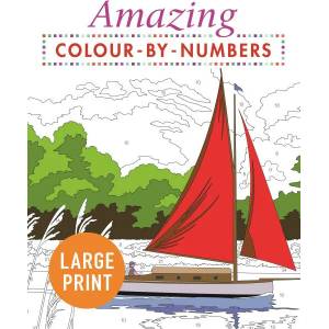 Amazing Colour-by-Numbers Large Print | PUBLISHING ARCTURUS (ISBN: 9781789500509)