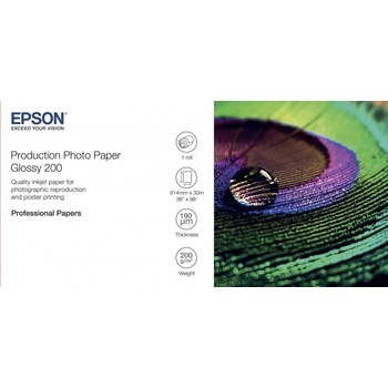 Epson C13S450372
