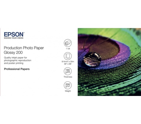 Epson C13S450372