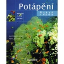 Potápění