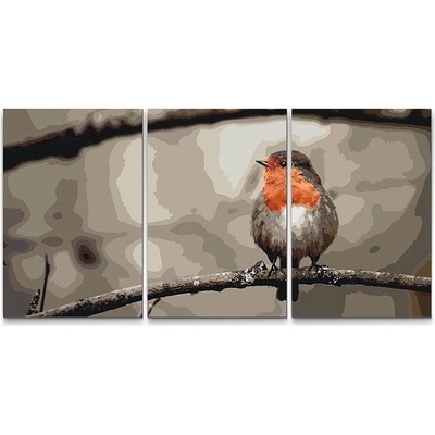 Painting Queens Painting Queens Ptáček Červenka sada 3 ks 60 x 80 cm na rámu PBNSET/03REDBIRD/60 x 80_60 x 80_60 x 80/W