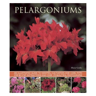 Pelargoniums - B. Cooke