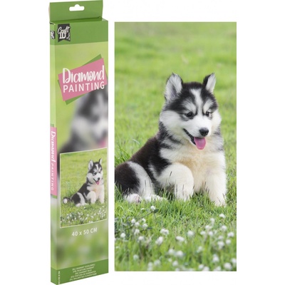 GRAFIX Diamantové malování Husky 40 x 50 cm