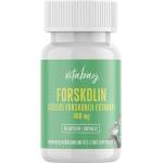 Vitabay Forskolin, Coleus Forskohlii Extrakt - Форсколин (Екстракт от Колеус форсколий) 400 mg, 90 капсули Vitabay (VB1330)