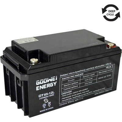 Goowei Energy OTL65-12 65Ah 12V