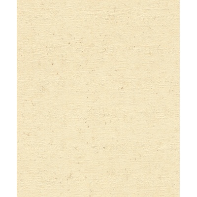 Rasch 520842 vliesová tapeta na zeď Concrete rozměry 0,53 x 10,05 m