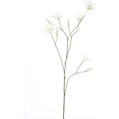 lilie-lilium krémová V106 cm