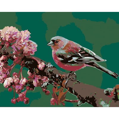Zuty Malování podle čísel Kvetoucí sakura a růžový ptáček 100 x 80 cm vypnuté plátno na rám