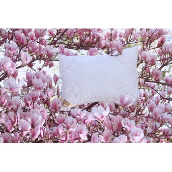 Ložnice21. Vankúš Lyocell 2ks 50x70 500g