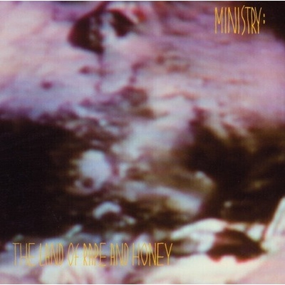 Ministry - The Land Of Rape And Honey (2 LP) (0603497824571)