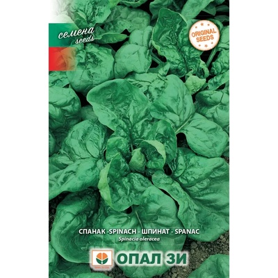 Opal Zi Спанак Зимен едър