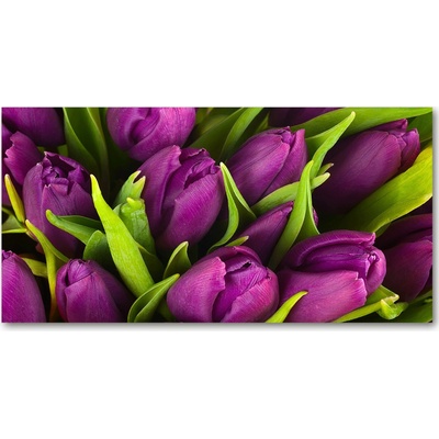 Fotoobraz na skle fialové tulipány 100x50 cm