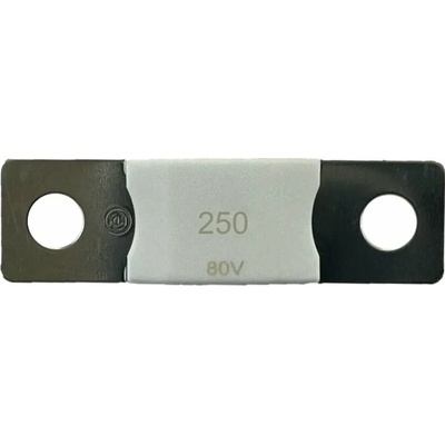 Victron DC MEGA - pojistka 250A/80V CIP138250020