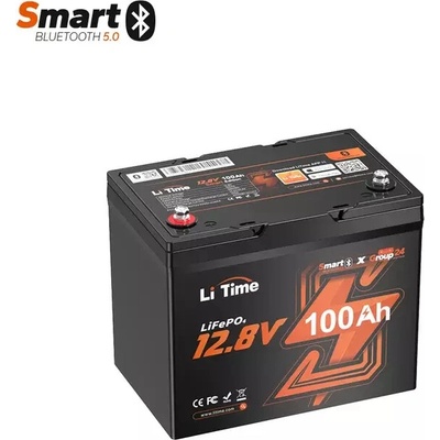 LiTime LiFePO4 baterie 12v 100Ah Group24 BLUETOOTH – Zboží Živě