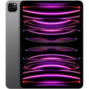 Image 1 of Apple iPad Pro 11 2022 1TB MNXK3