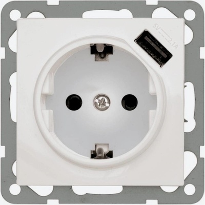 Honeywell 244061