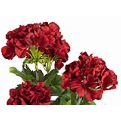 Červená Pelargonie, 42 cm