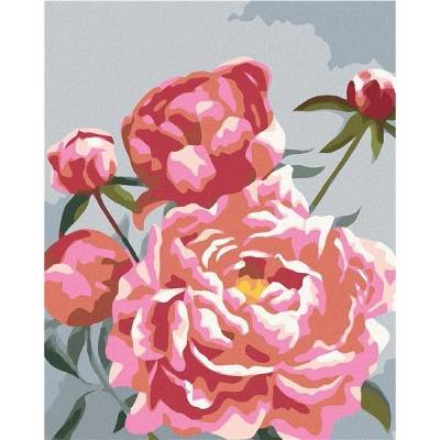 zuty Malování Podle Čísel Pivoňky 4 Myroslava Voloschuk 40 x 50 Cm Plátno Rám