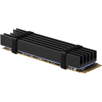 AXAGON CLR-M2L10