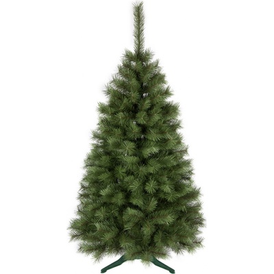 ROY Vianočný stromček borovica obyčajná zelená 120 cm