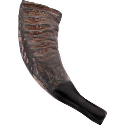 Terre Buffalo Horn