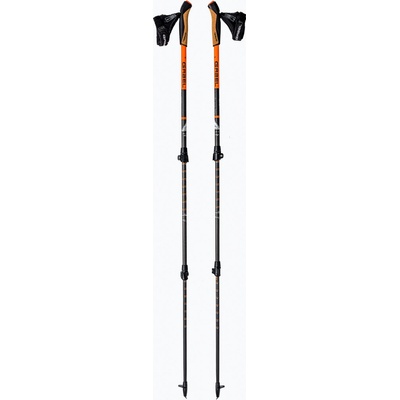 Gabel Carbon XT 3S 100 F.L.