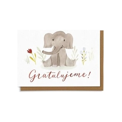Gratulujeme - sloník