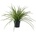 House Nordic Изкуствена трева (височина 45 cm) - House Nordic (9501004)