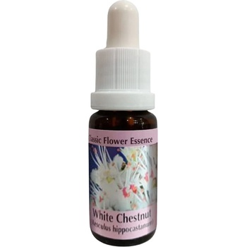 PHI Essences Есенция Конски кестен № 35, капки 15 ml | PHI Essences (35 CLASSIC)