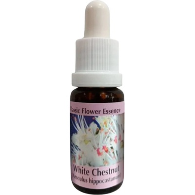 PHI Essences Есенция Конски кестен № 35, капки 15 ml | PHI Essences (35 CLASSIC)