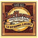 Ernie Ball 2010